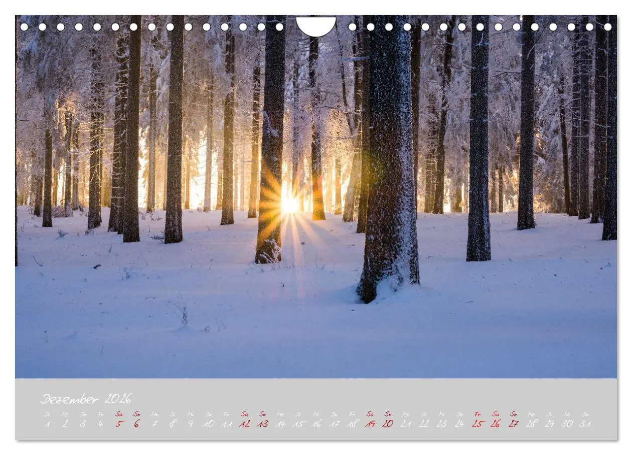 Bild: 9783457770450 | Thüringer Wald Das Grüne Herz Deutschlands (Wandkalender 2026 DIN...