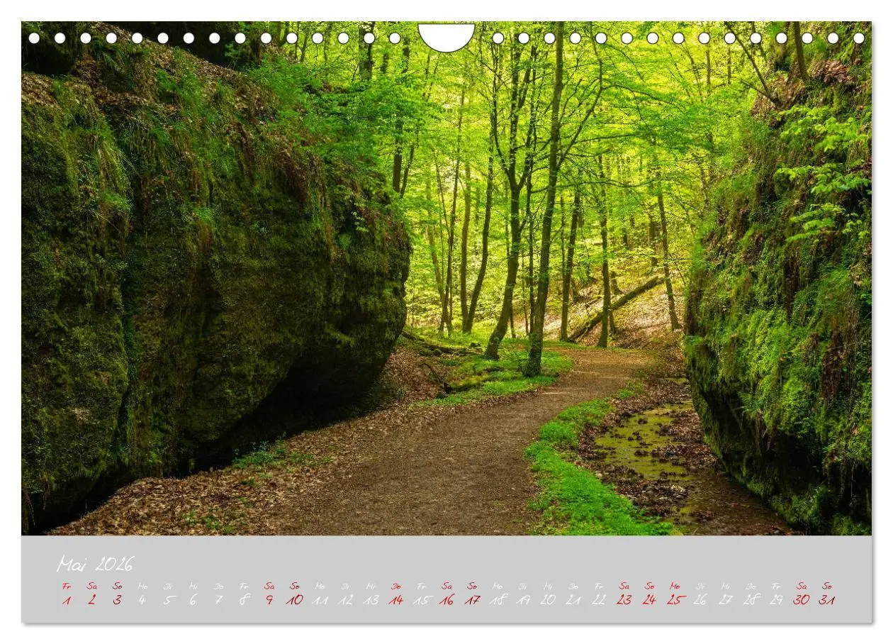 Bild: 9783457770450 | Thüringer Wald Das Grüne Herz Deutschlands (Wandkalender 2026 DIN...