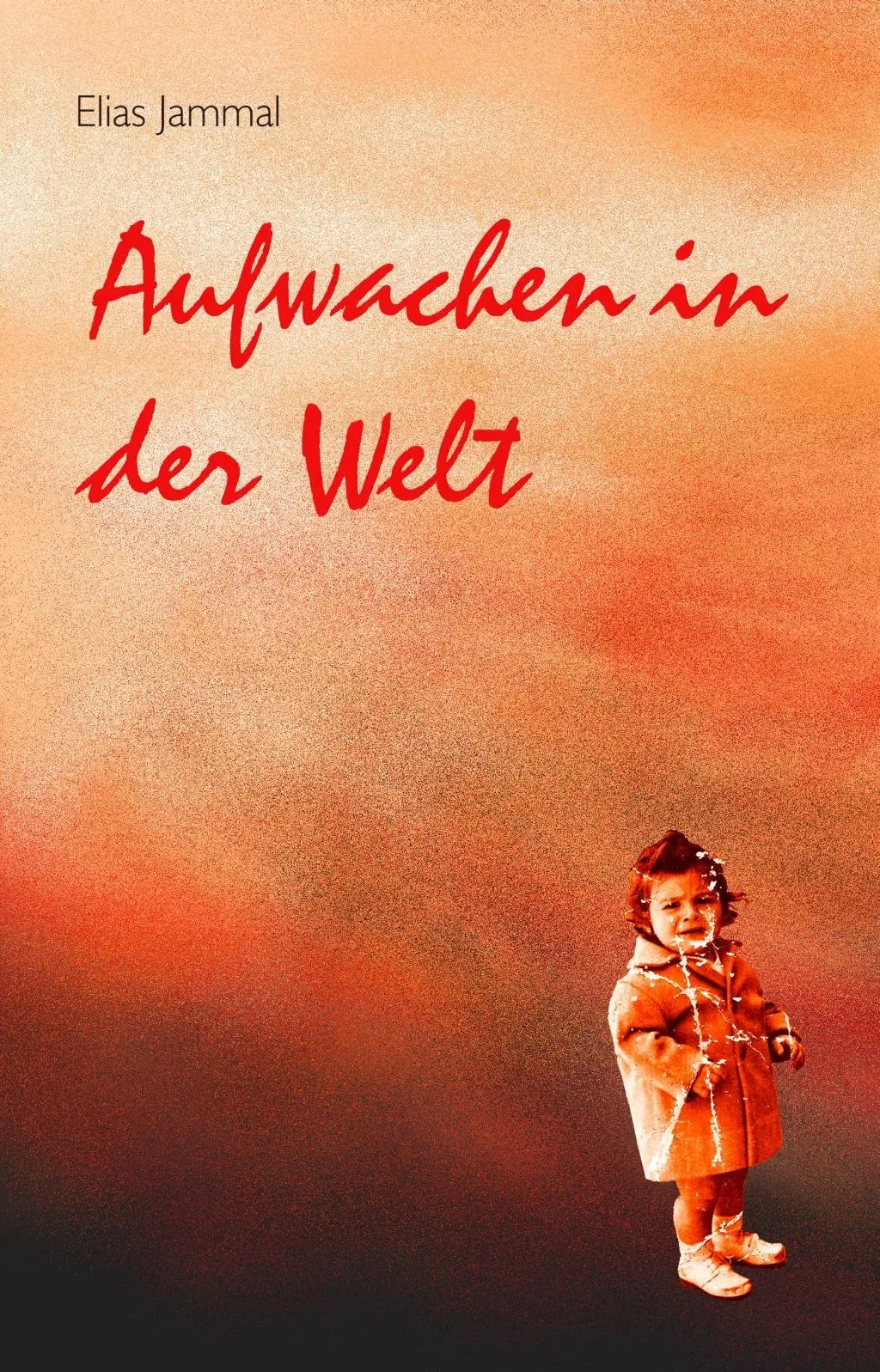 Cover: 9783941400450 | Aufwachen in der Welt | Elias Jammal | Taschenbuch | Deutsch | 2013