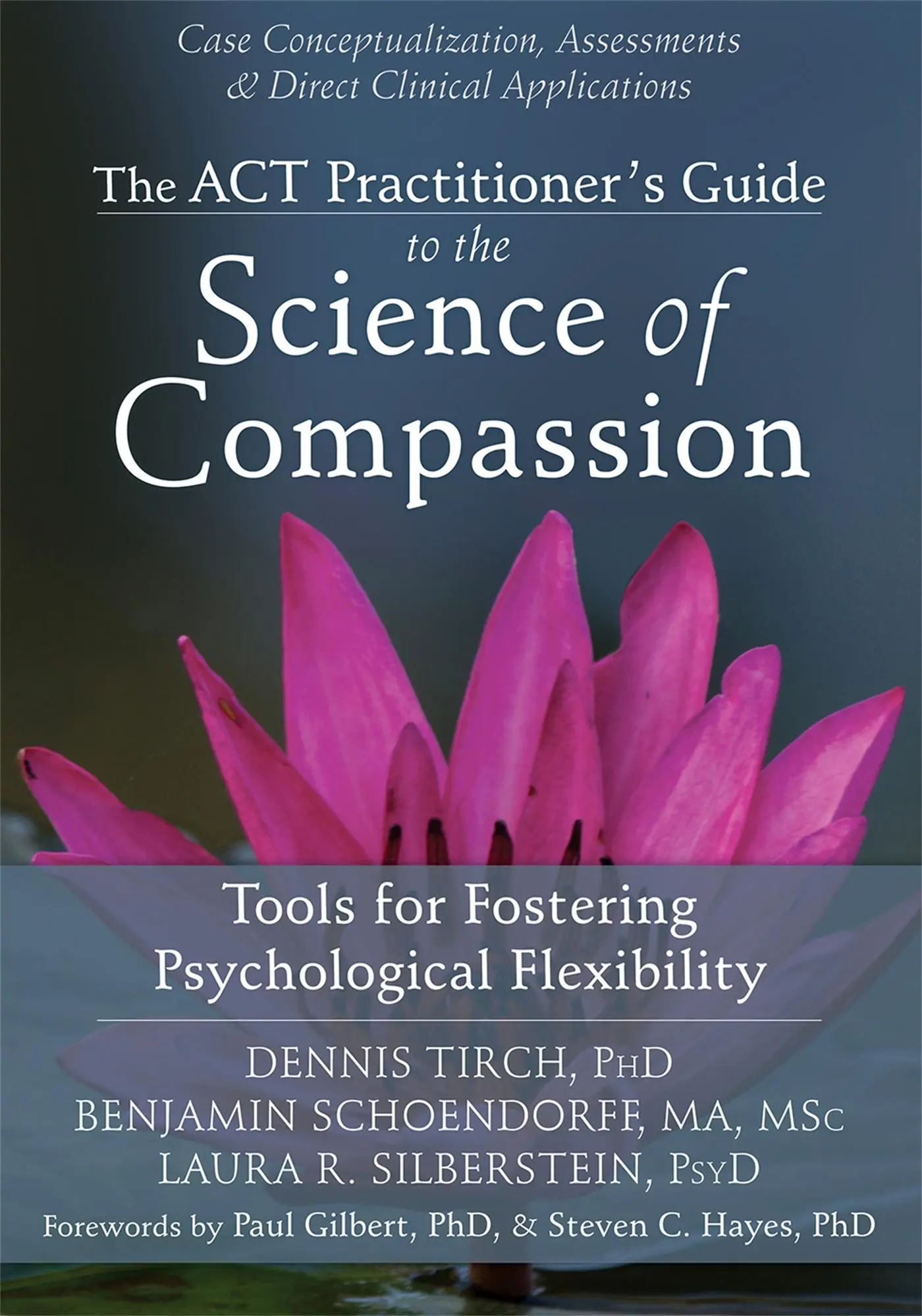 Cover: 9781626250550 | The ACT Practitioner's Guide to the Science of Compassion | Buch
