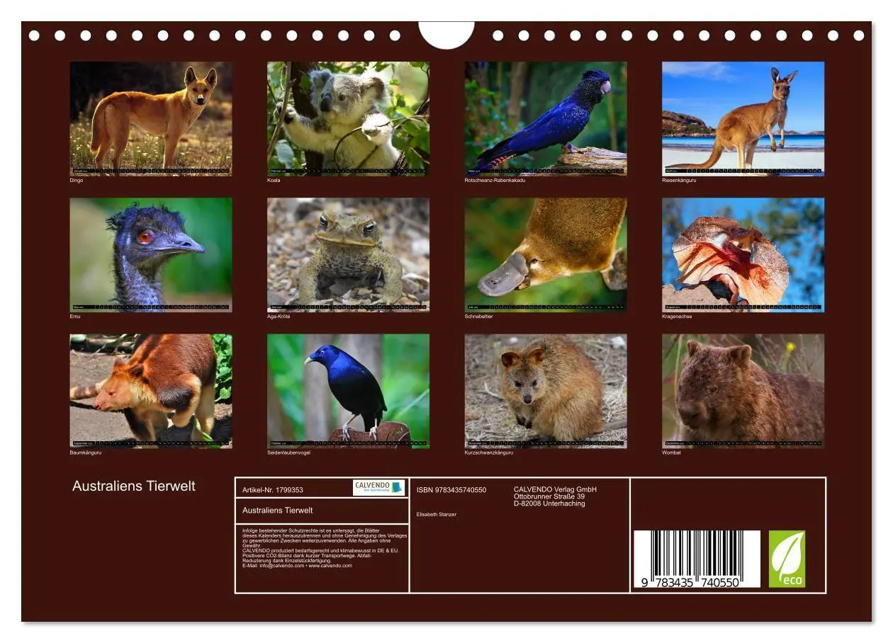 Bild: 9783435740550 | Australiens Tierwelt (Wandkalender 2025 DIN A4 quer), CALVENDO...