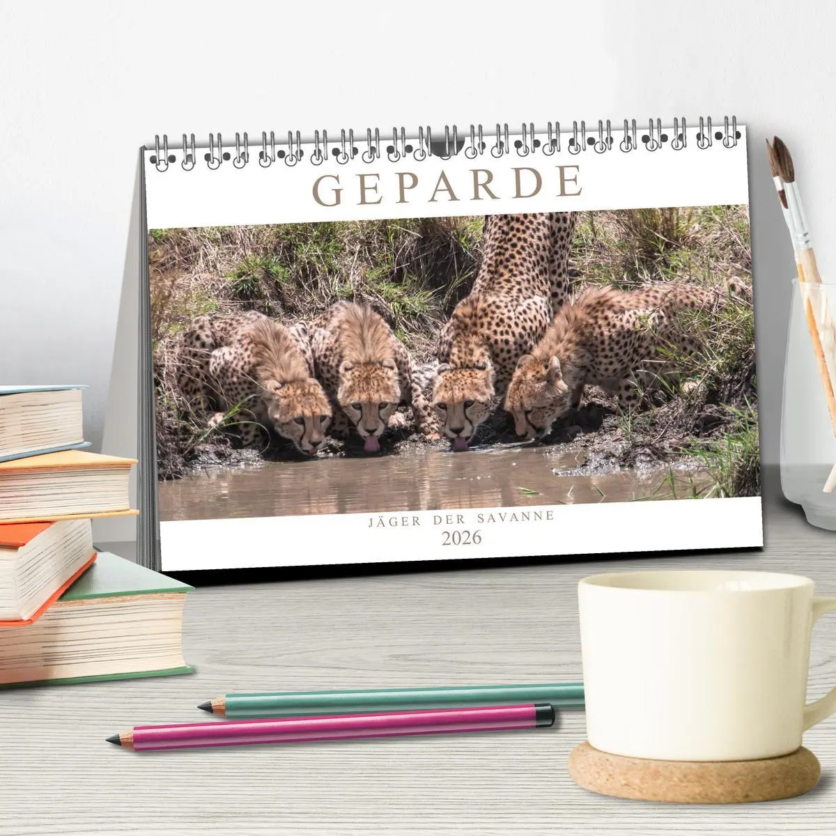 Bild: 9783457760550 | Geparde - Jäger der Savanne (Tischkalender 2026 DIN A5 quer),...
