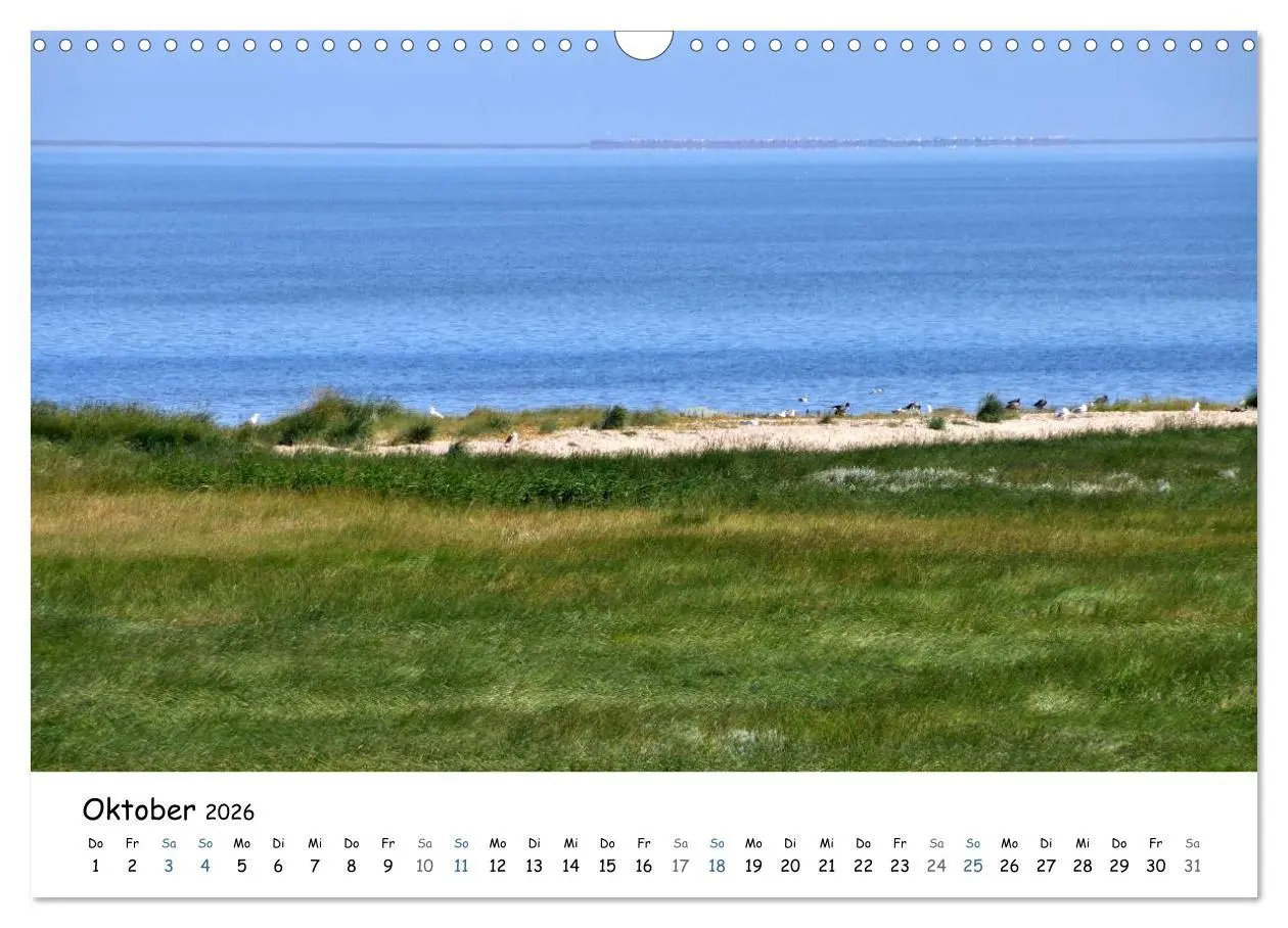 Bild: 9783516160550 | Föhr und Halligwelt 2026 (Wandkalender 2026 DIN A3 quer), CALVENDO...