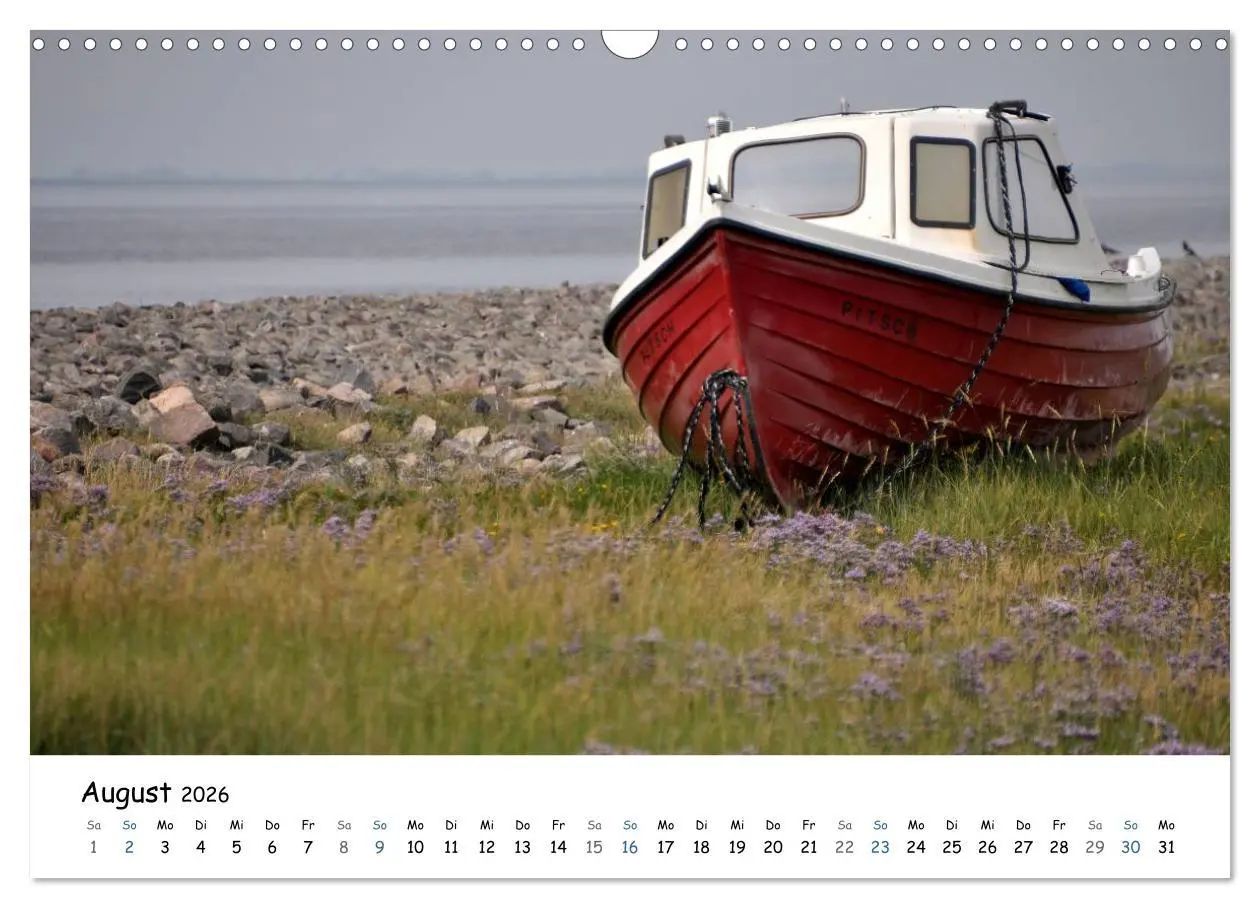 Bild: 9783516160550 | Föhr und Halligwelt 2026 (Wandkalender 2026 DIN A3 quer), CALVENDO...