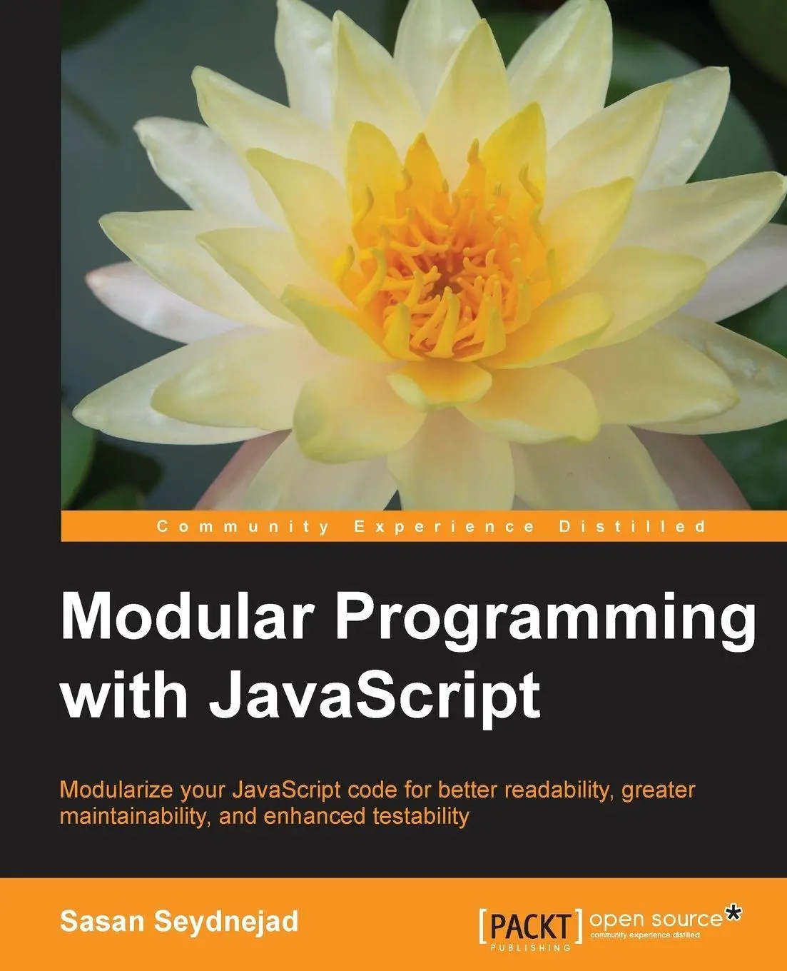 Cover: 9781785880650 | Modular Programming with JavaScript | Sasan Seydnejad | Taschenbuch