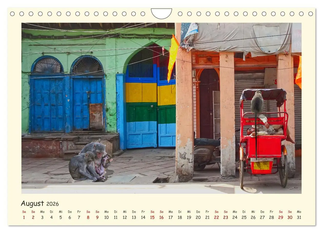 Bild: 9783457370650 | Urlaubsgefühle - INDIEN Impressionen aus Rajasthan (Wandkalender...