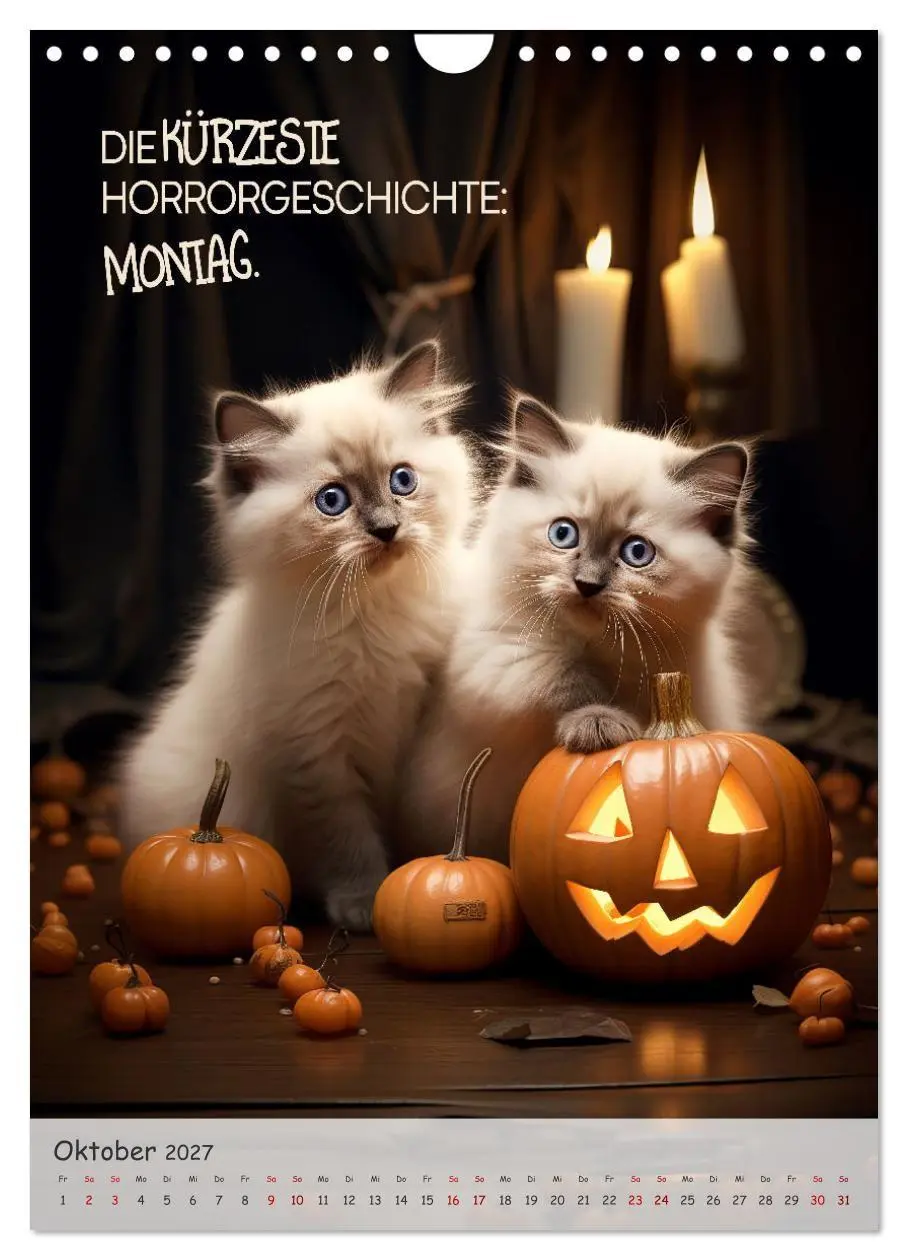 Bild: 9783569170650 | COOLE KATZEN Sprücheklopfer (Wandkalender 2027 DIN A4 hoch),...