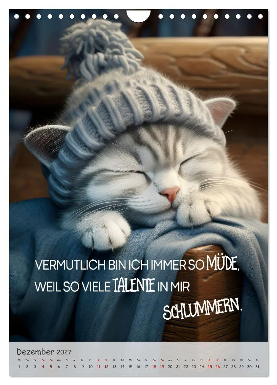 Bild: 9783569170650 | COOLE KATZEN Sprücheklopfer (Wandkalender 2027 DIN A4 hoch),...