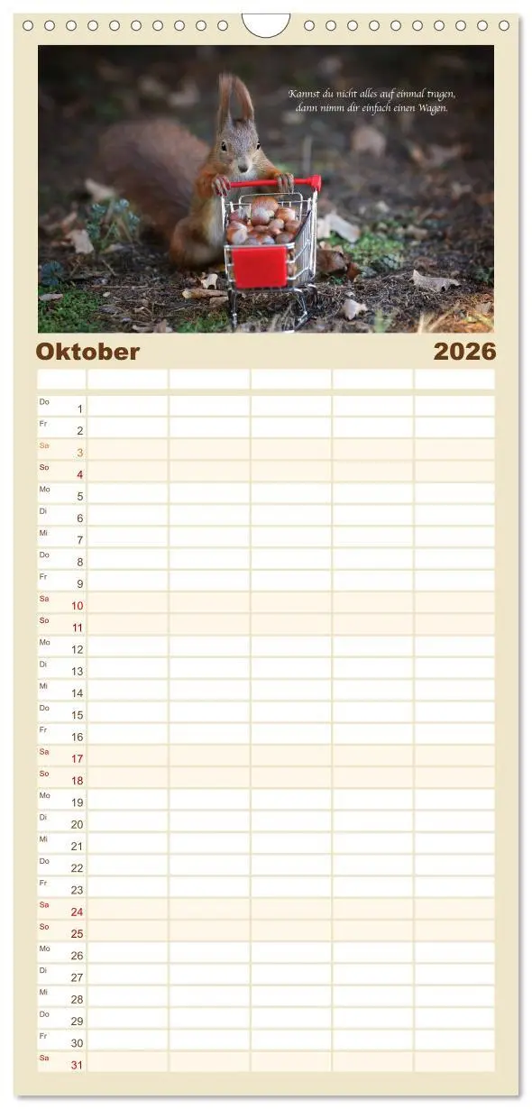 Bild: 9783516510850 | Familienplaner 2026 - Tipps von Eichhörnchen an...
