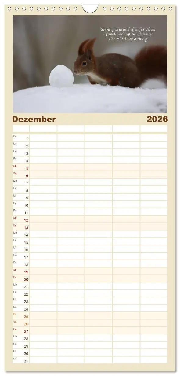 Bild: 9783516510850 | Familienplaner 2026 - Tipps von Eichhörnchen an...