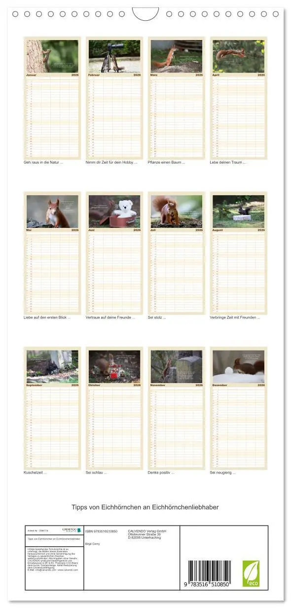 Bild: 9783516510850 | Familienplaner 2026 - Tipps von Eichhörnchen an...