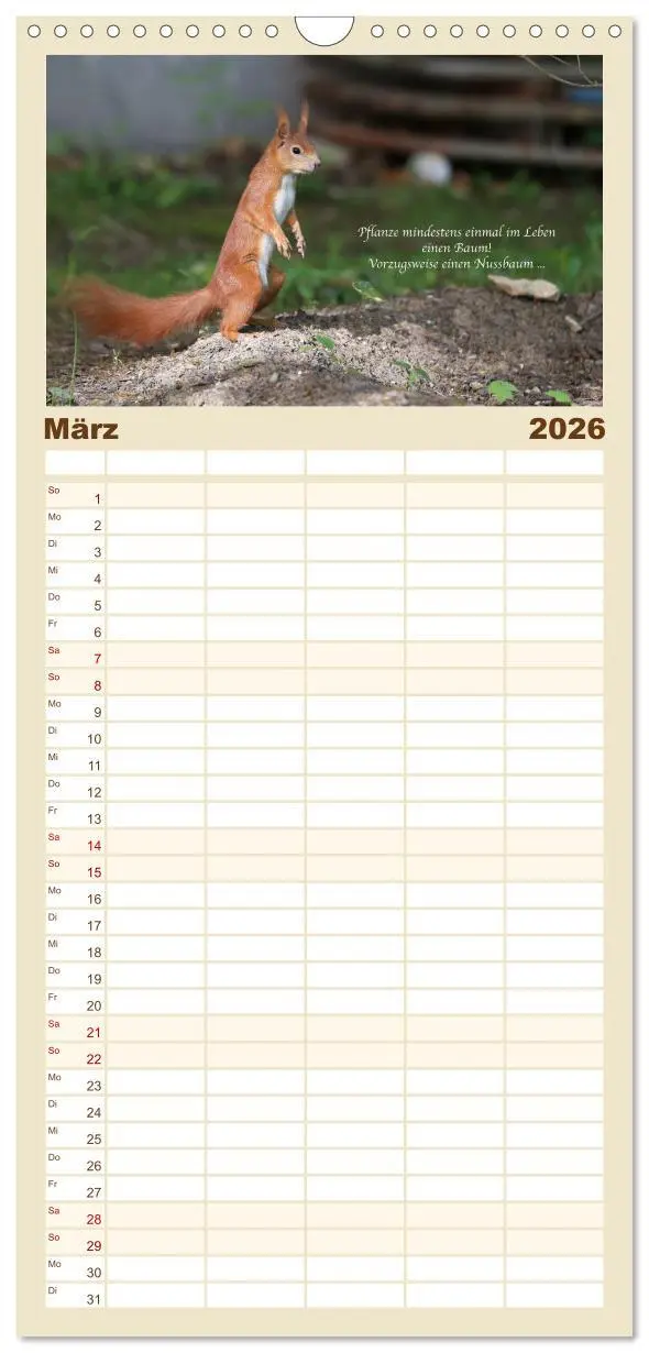Bild: 9783516510850 | Familienplaner 2026 - Tipps von Eichhörnchen an...