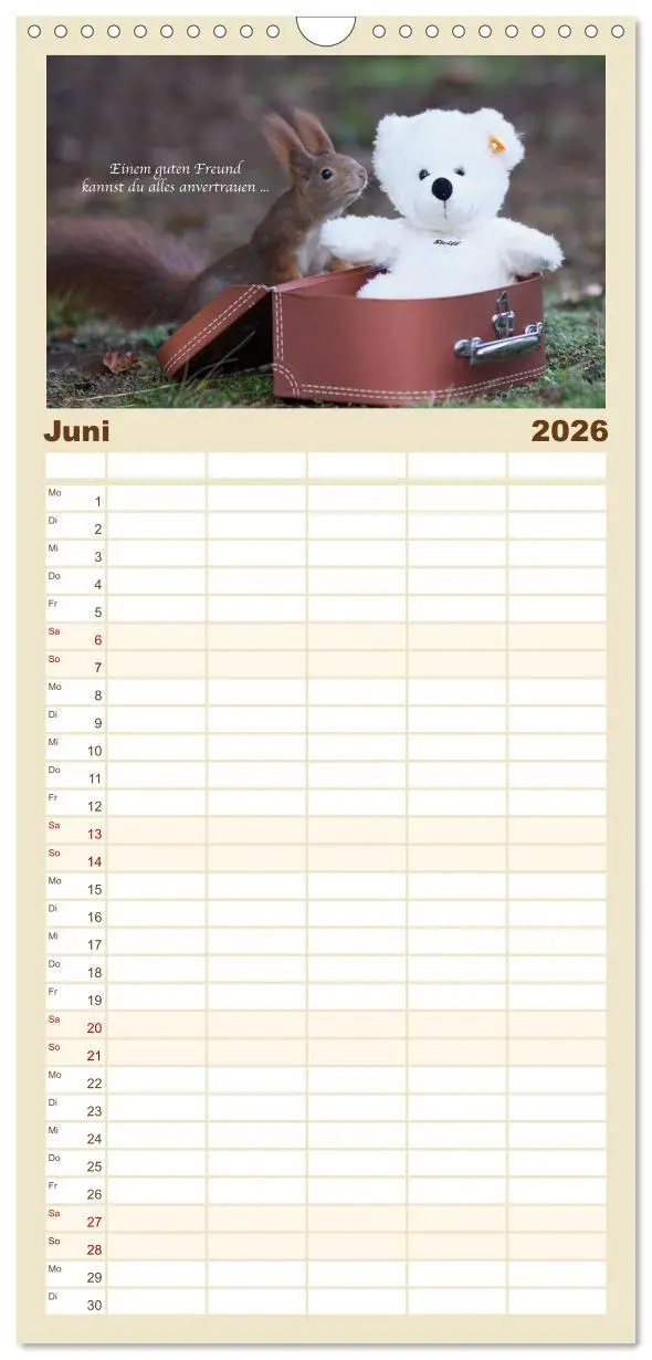 Bild: 9783516510850 | Familienplaner 2026 - Tipps von Eichhörnchen an...