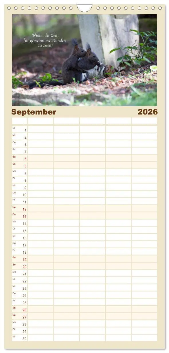Bild: 9783516510850 | Familienplaner 2026 - Tipps von Eichhörnchen an...