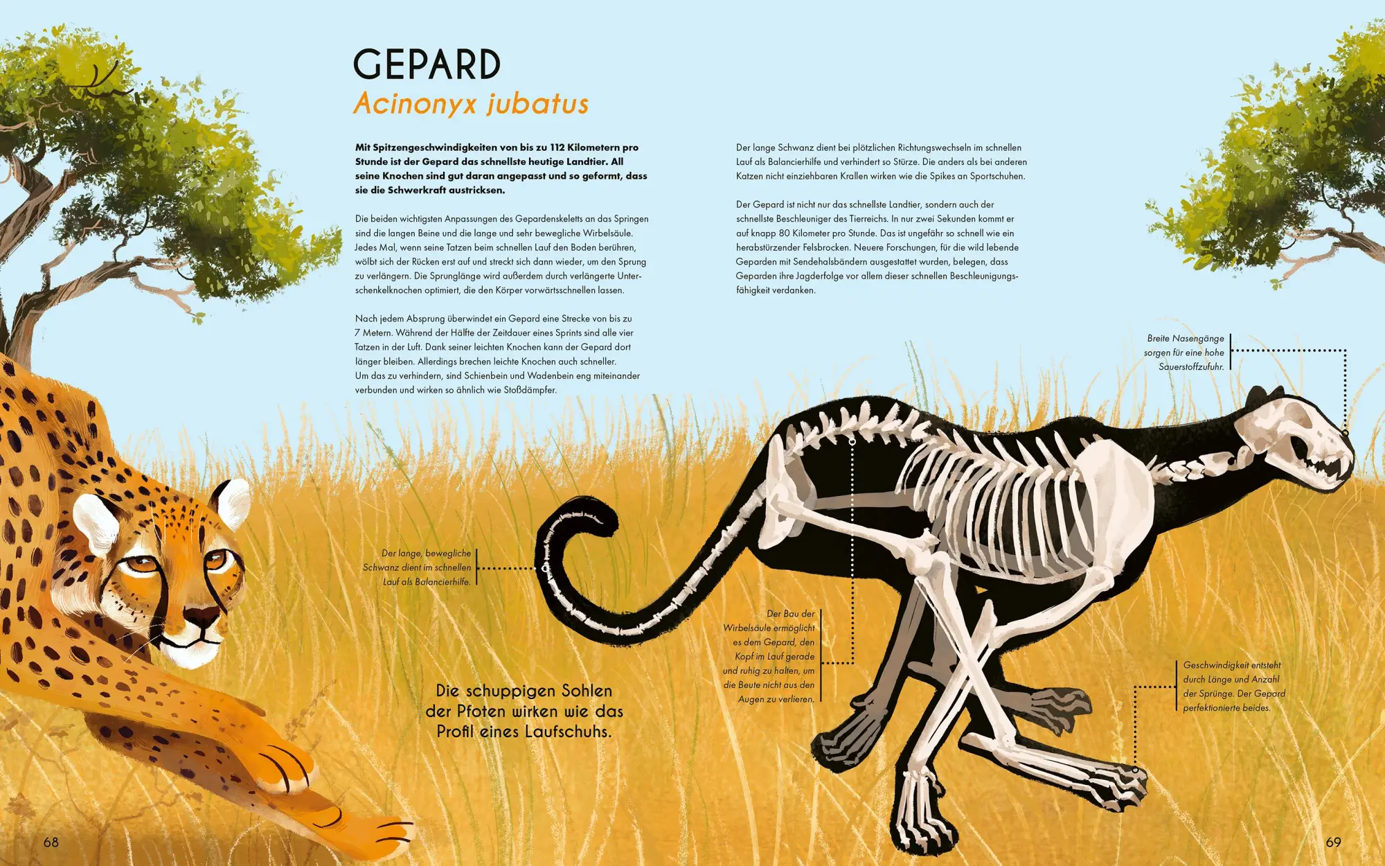 Bild: 9783734860850 | Bones - Knochen und Skelette in der Tierwelt | Jules Howard | Buch