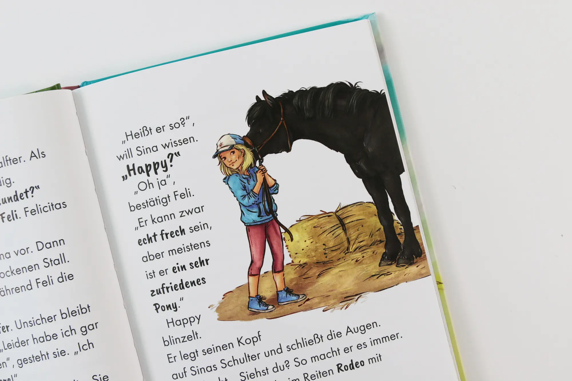 Bild: 9783743220850 | Reiterhof Ponyglück (Band 1) - Ein Pony für Sina | Sabine Giebken