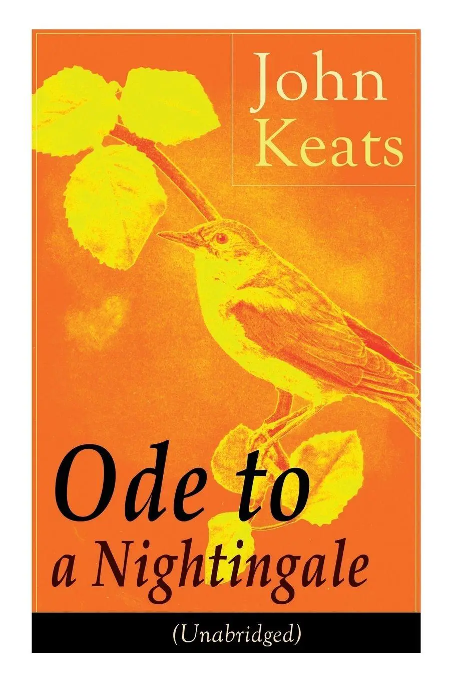 Cover: 9788026890850 | John Keats | Ode to a Nightingale (Unabridged) | John Keats | Buch