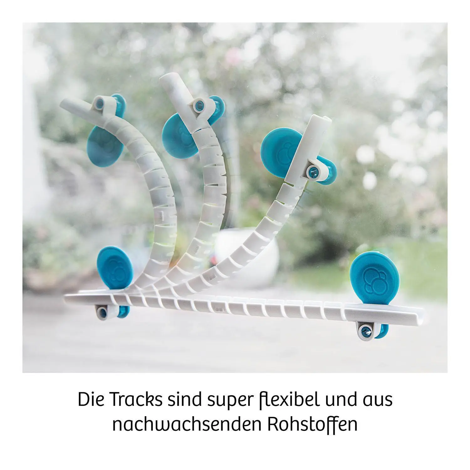 Bild: 4002051620950 | Gecko Run, Starter Set - Experimentierkasten | Spiel | Brettspiel