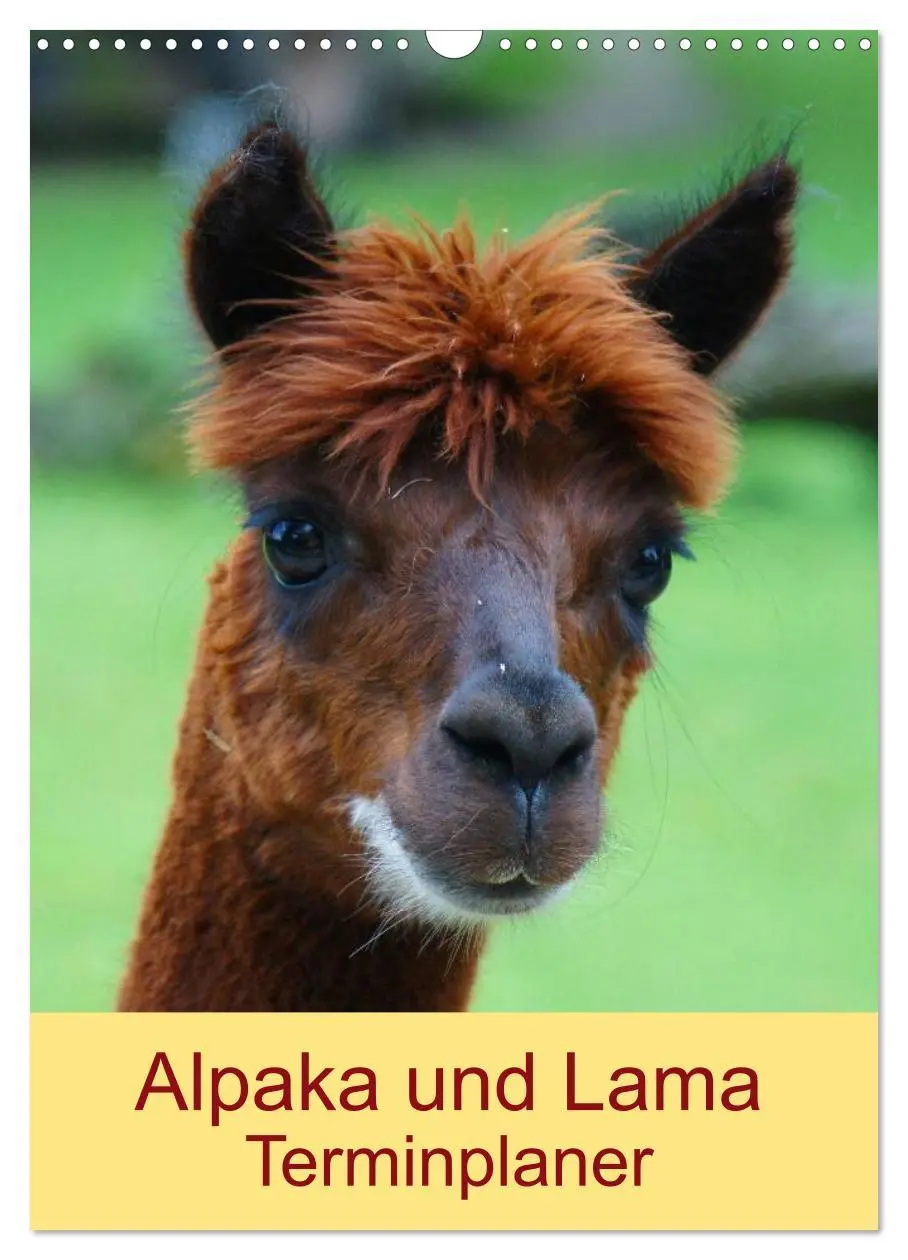 Cover: 9783516430950 | Alpaka und Lama Terminplaner (Wandkalender 2026 DIN A3 hoch),...