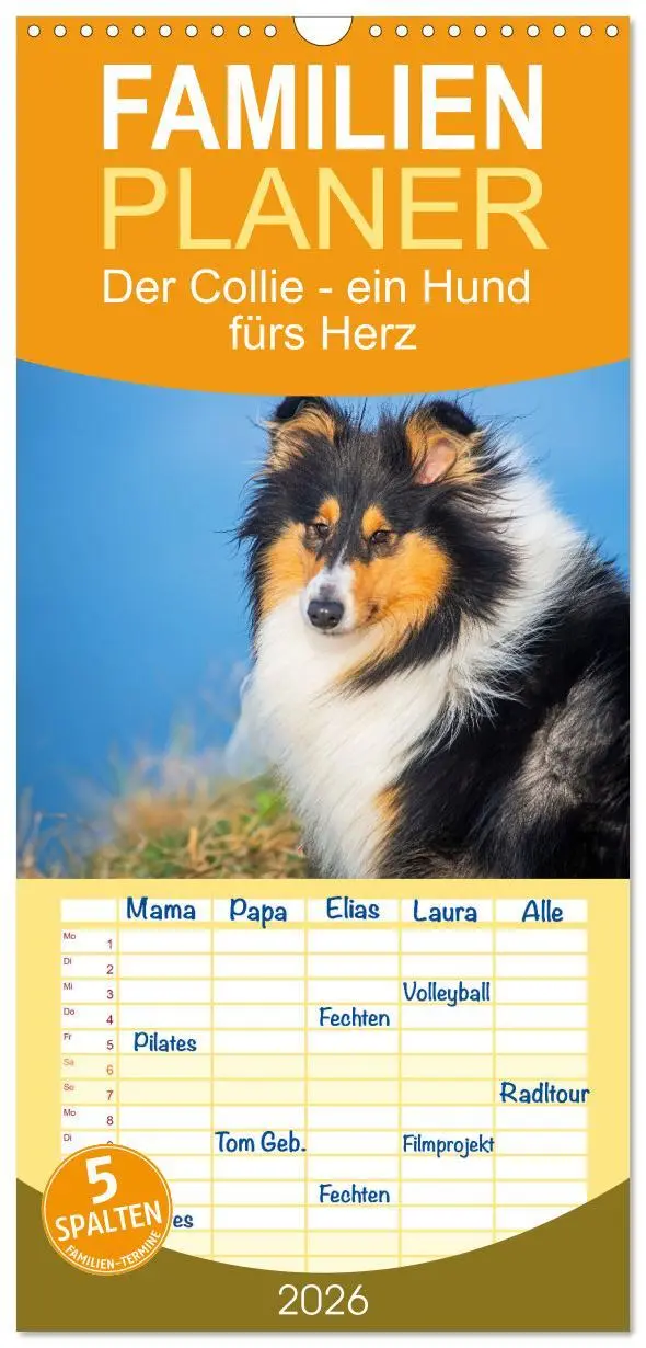 Cover: 9783516491050 | Familienplaner 2026 - Der Collie - ein Hund fürs Herz mit 5 Spalten...