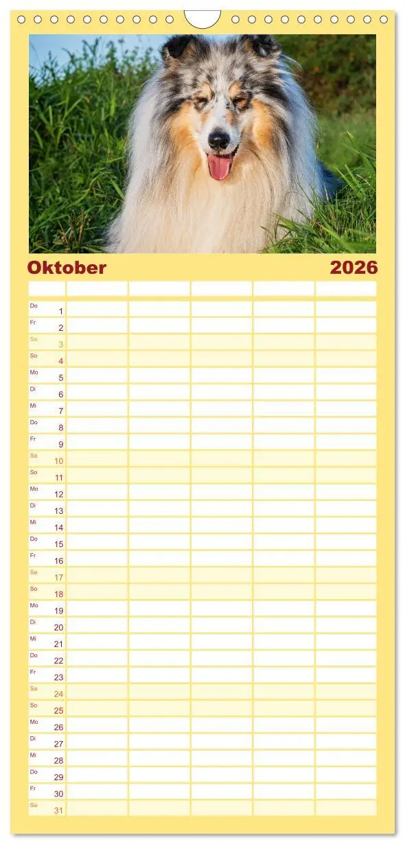 Bild: 9783516491050 | Familienplaner 2026 - Der Collie - ein Hund fürs Herz mit 5 Spalten...