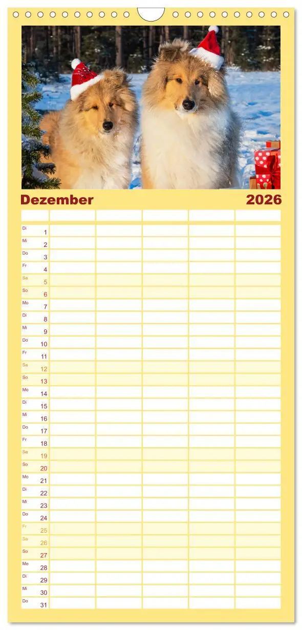 Bild: 9783516491050 | Familienplaner 2026 - Der Collie - ein Hund fürs Herz mit 5 Spalten...