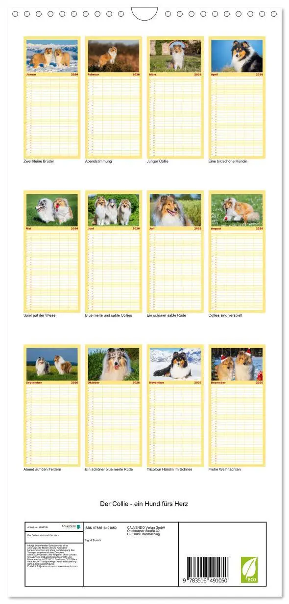 Bild: 9783516491050 | Familienplaner 2026 - Der Collie - ein Hund fürs Herz mit 5 Spalten...