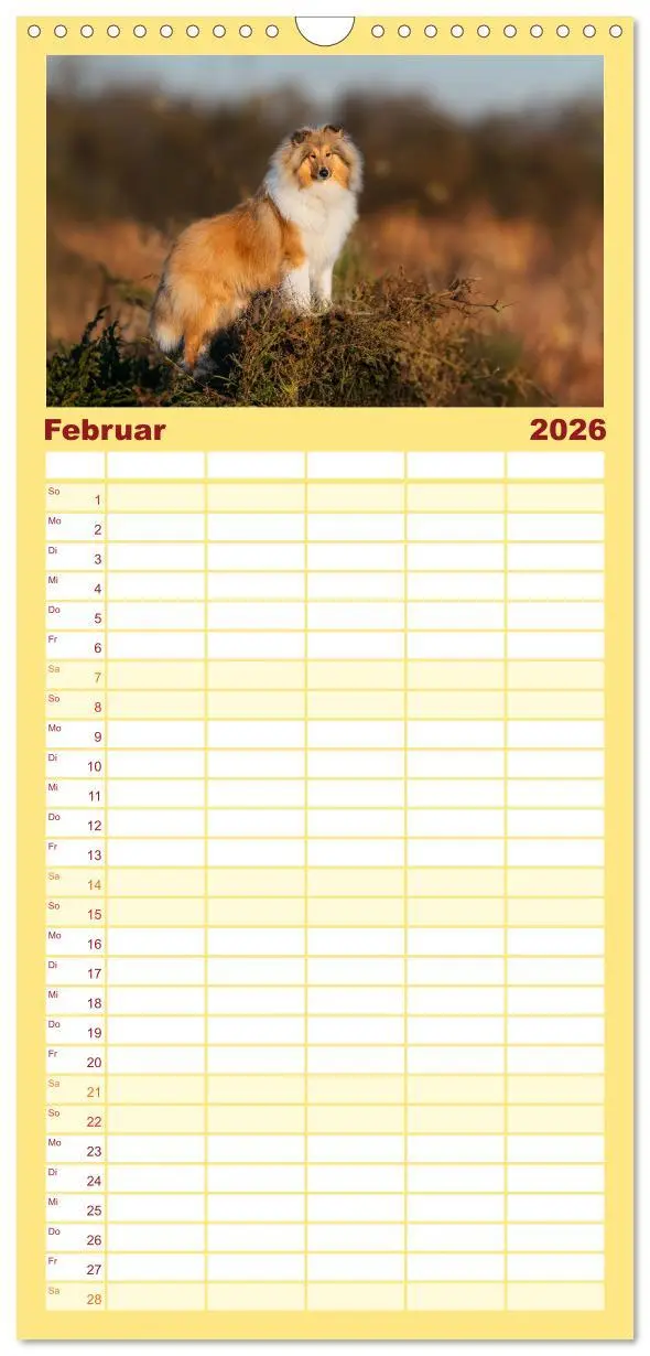 Bild: 9783516491050 | Familienplaner 2026 - Der Collie - ein Hund fürs Herz mit 5 Spalten...