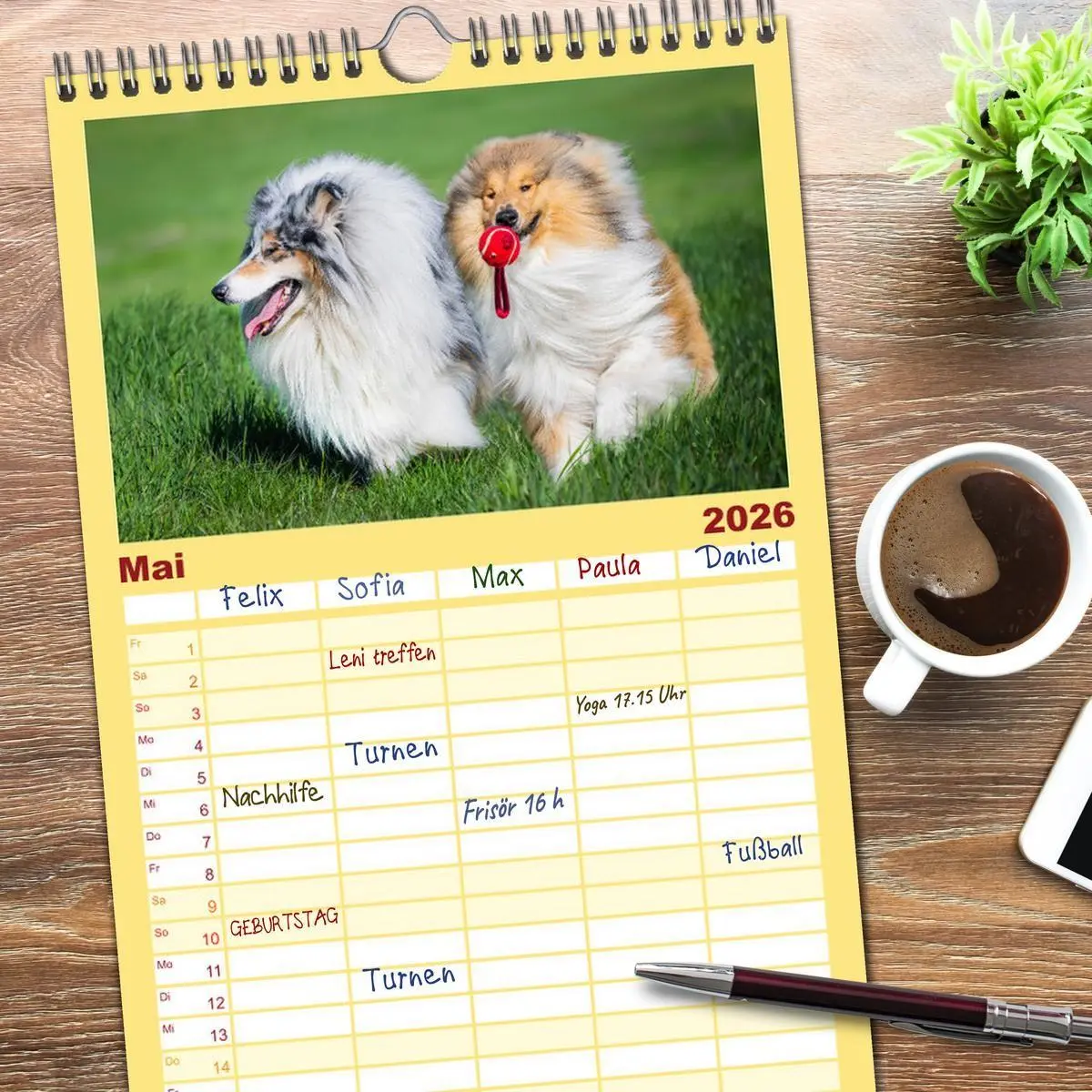 Bild: 9783516491050 | Familienplaner 2026 - Der Collie - ein Hund fürs Herz mit 5 Spalten...
