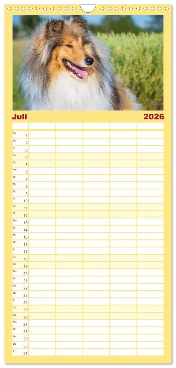 Bild: 9783516491050 | Familienplaner 2026 - Der Collie - ein Hund fürs Herz mit 5 Spalten...