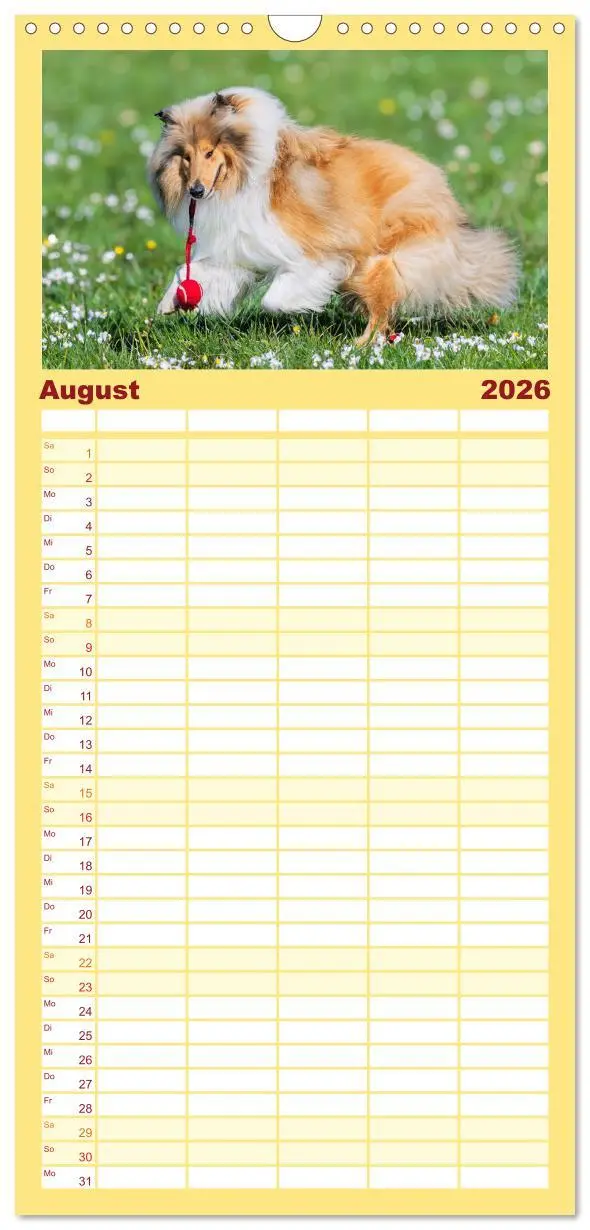Bild: 9783516491050 | Familienplaner 2026 - Der Collie - ein Hund fürs Herz mit 5 Spalten...