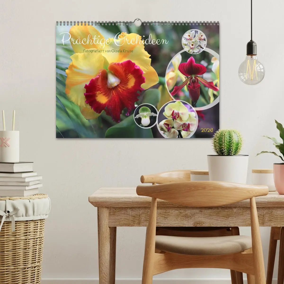 Bild: 9783457461150 | Prächtige Orchideen (Wandkalender 2026 DIN A3 quer), CALVENDO...