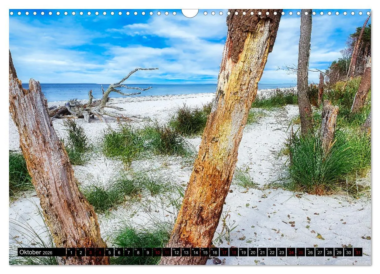 Bild: 9783457911150 | Fischland - Darß- Zingst (Wandkalender 2026 DIN A3 quer), CALVENDO...