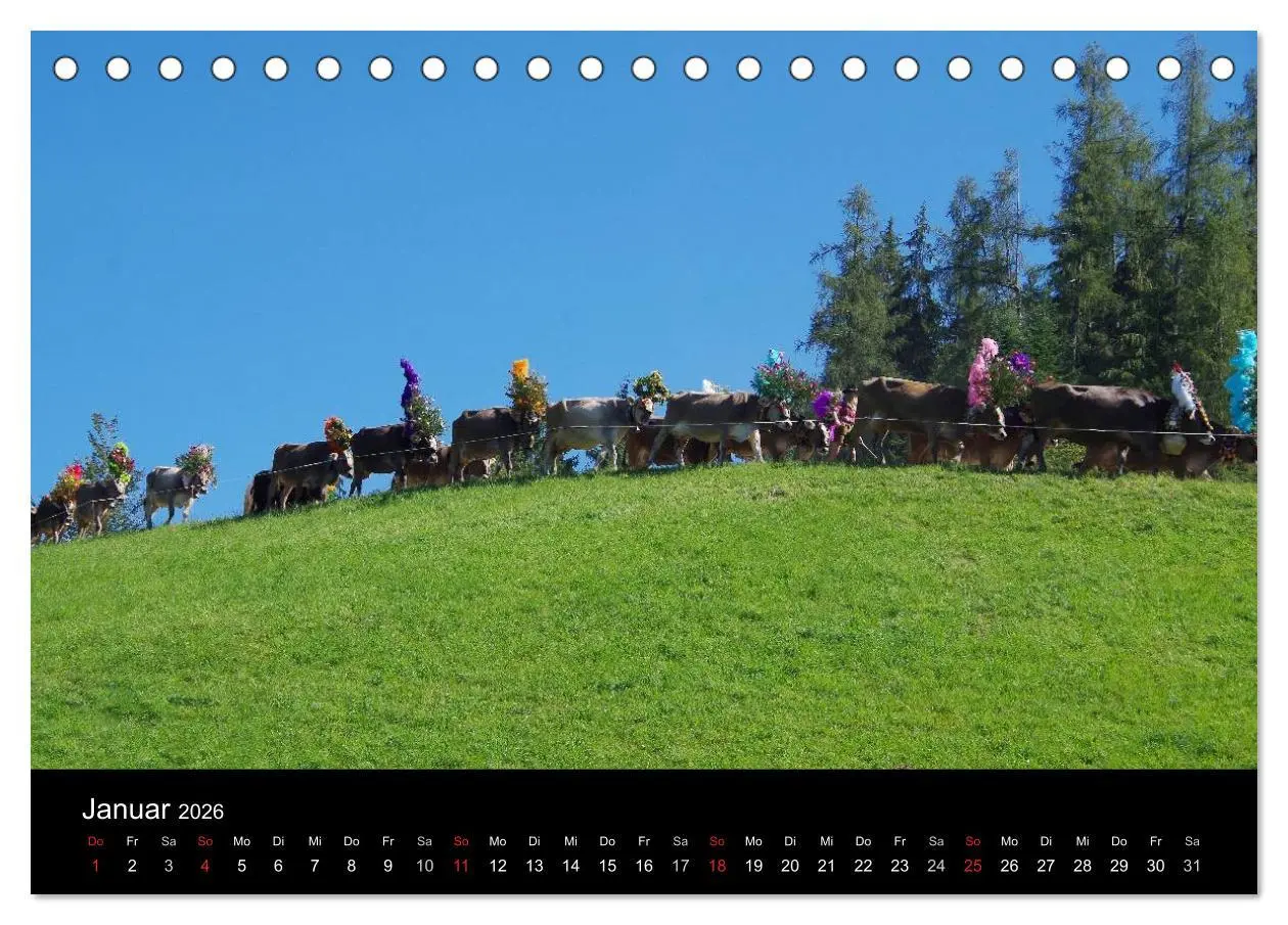 Bild: 9783516001150 | Almabtrieb in Tirol (Tischkalender 2026 DIN A5 quer), CALVENDO...
