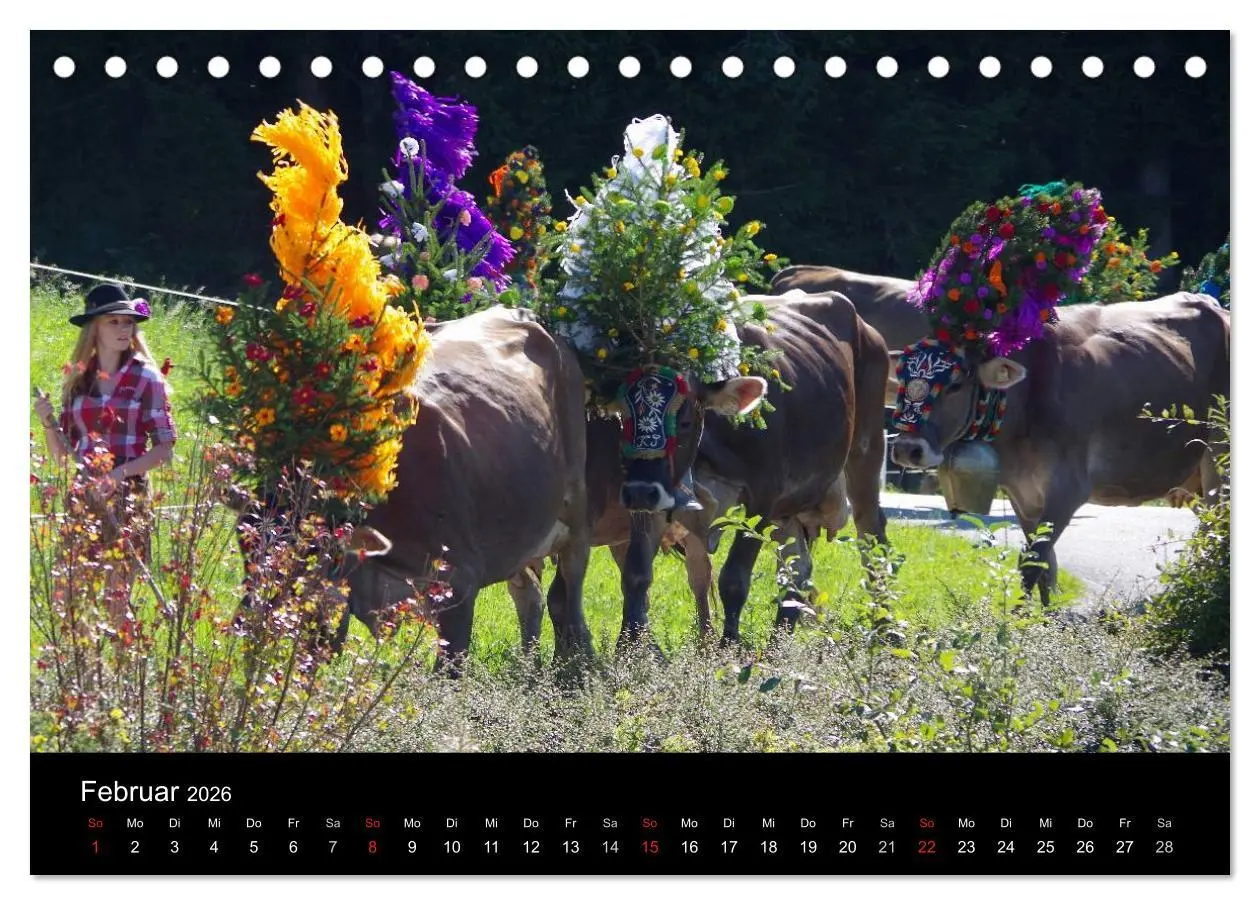 Bild: 9783516001150 | Almabtrieb in Tirol (Tischkalender 2026 DIN A5 quer), CALVENDO...