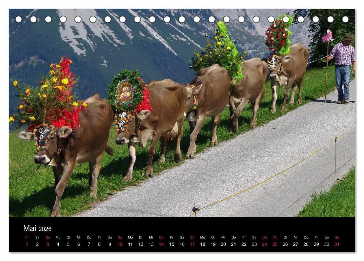 Bild: 9783516001150 | Almabtrieb in Tirol (Tischkalender 2026 DIN A5 quer), CALVENDO...