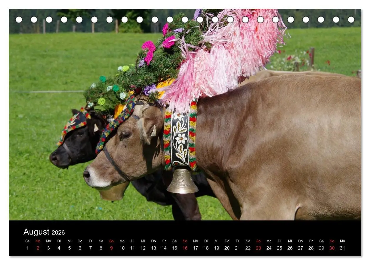 Bild: 9783516001150 | Almabtrieb in Tirol (Tischkalender 2026 DIN A5 quer), CALVENDO...