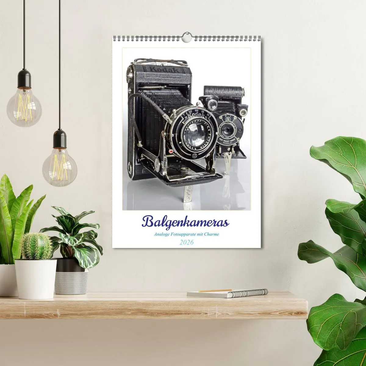 Bild: 9783516311150 | Balgenkameras - Analoge Fotoapparate mit Charme (Wandkalender 2026...