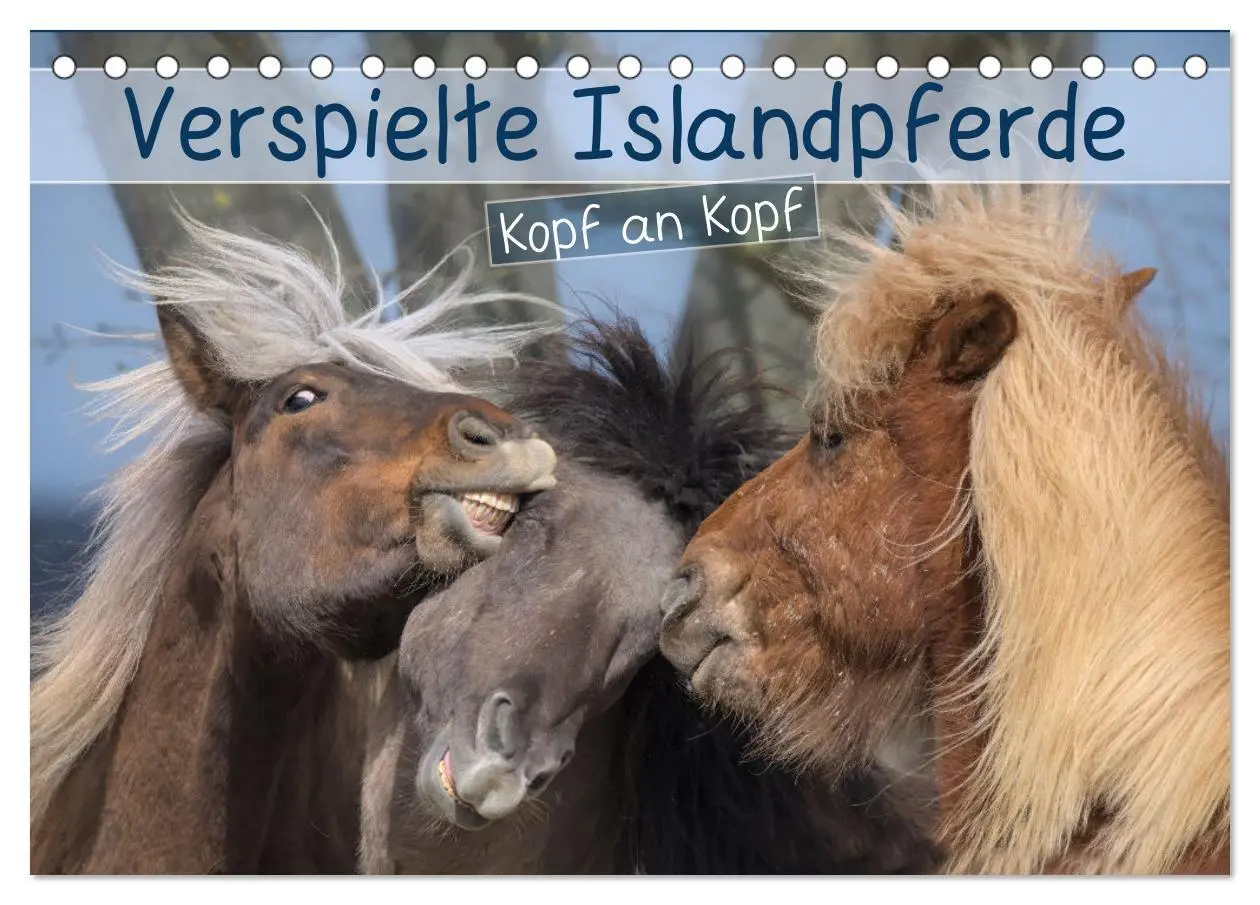 Cover: 9783457521250 | Verspielte Islandpferde Kopf an Kopf (Tischkalender 2026 DIN A5...