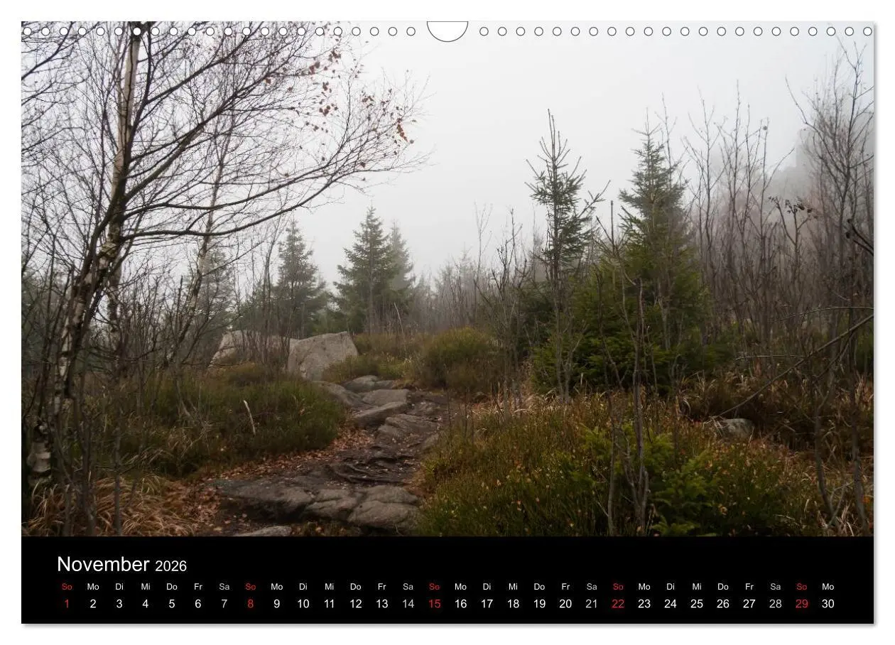 Bild: 9783516231250 | Harz-Bilder (Wandkalender 2026 DIN A3 quer), CALVENDO Monatskalender
