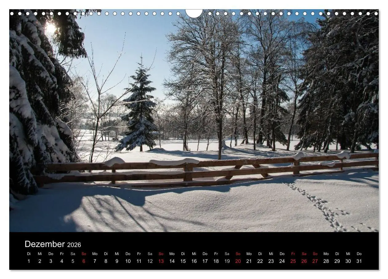 Bild: 9783516231250 | Harz-Bilder (Wandkalender 2026 DIN A3 quer), CALVENDO Monatskalender