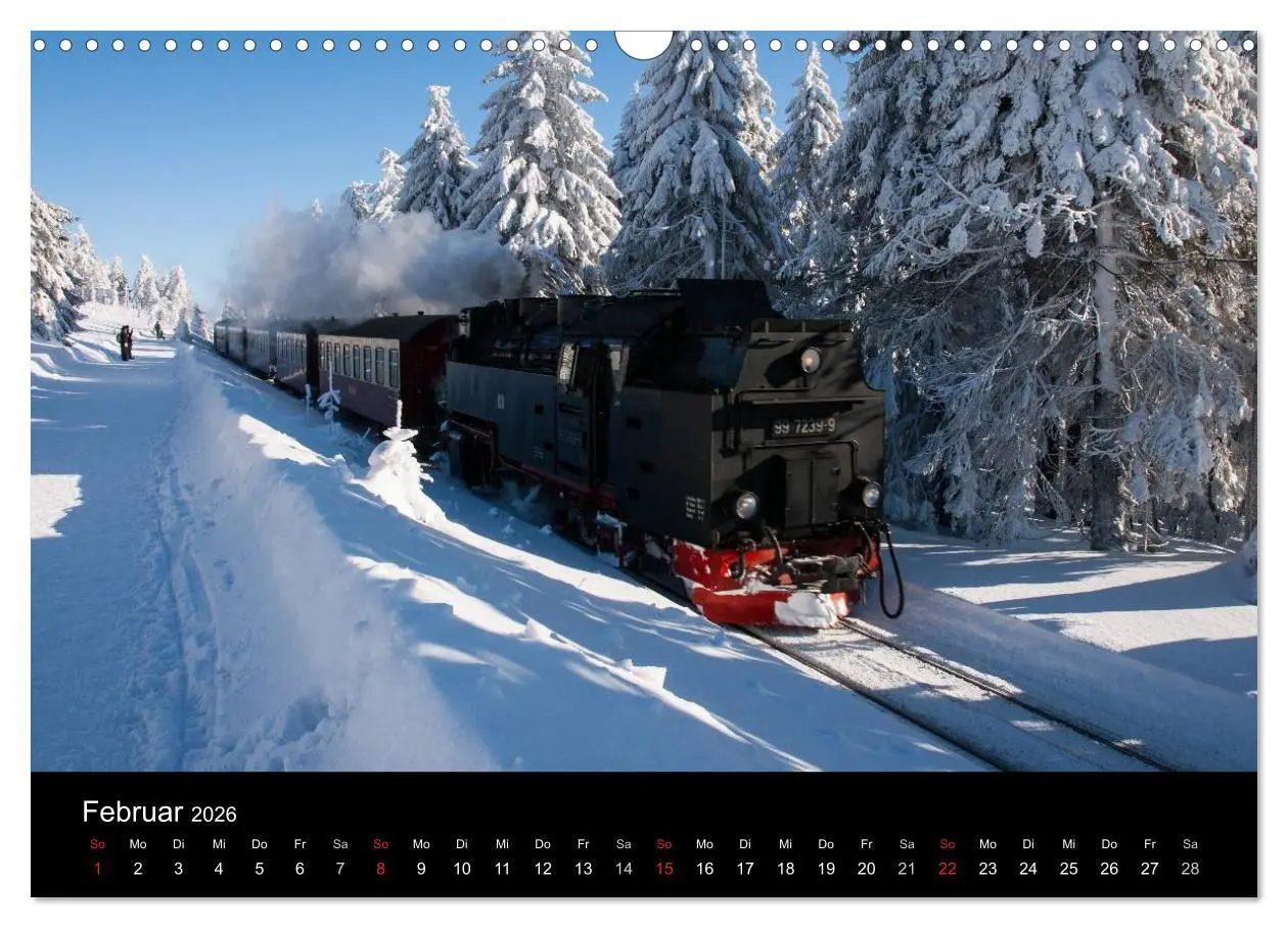 Bild: 9783516231250 | Harz-Bilder (Wandkalender 2026 DIN A3 quer), CALVENDO Monatskalender