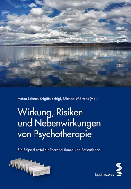 Cover: 9783708911250 | Wirkung, Risiken und Nebenwirkungen von Psychotherapie | Taschenbuch