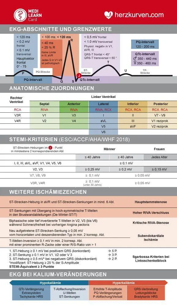Bild: 9783956581250 | MEDI-LEARN Card: Herzkurven | Stephan List | Lehr-, Lern-, Bildkarten
