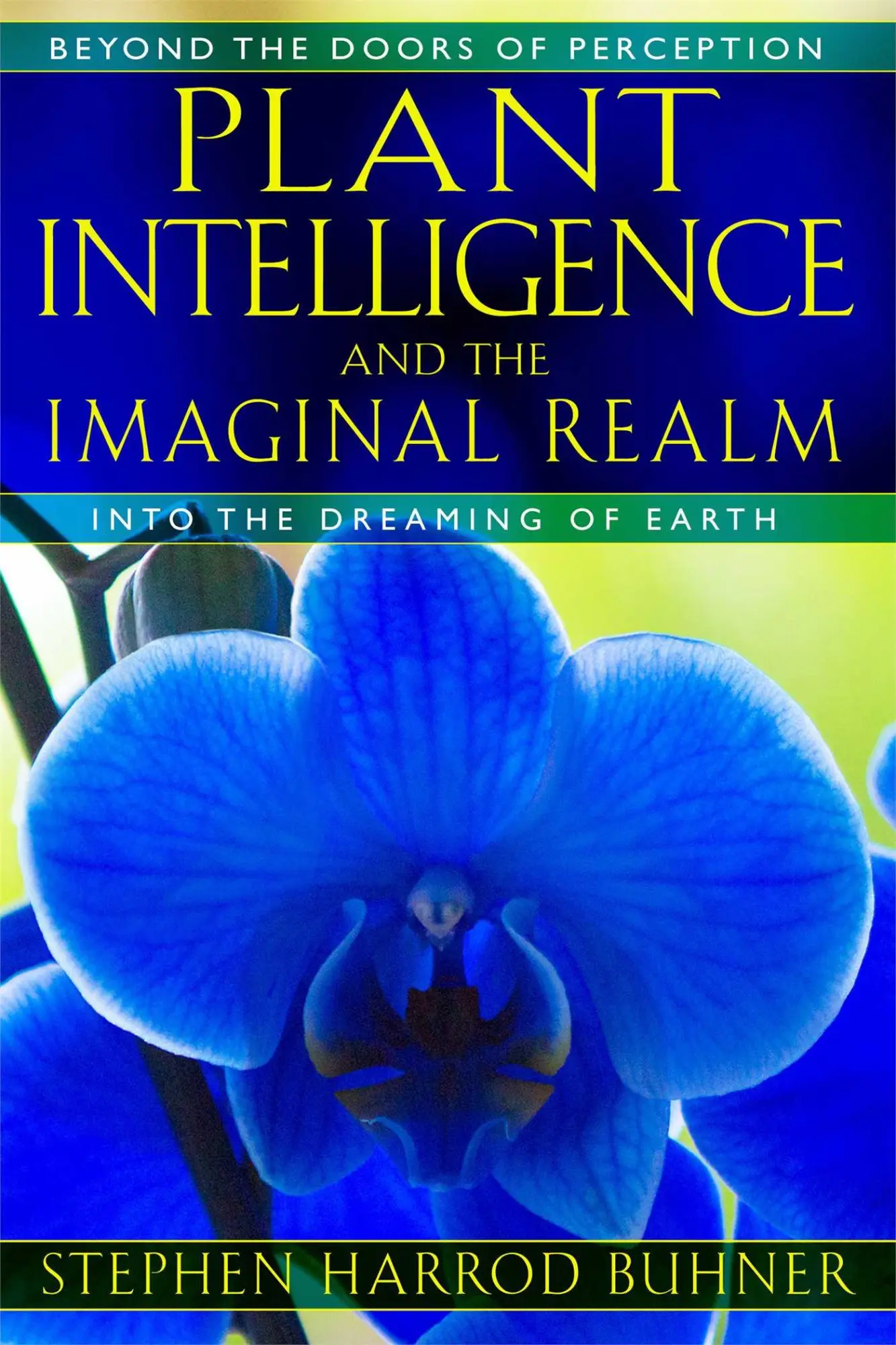 Cover: 9781591431350 | Plant Intelligence and the Imaginal Realm | Stephen Harrod Buhner