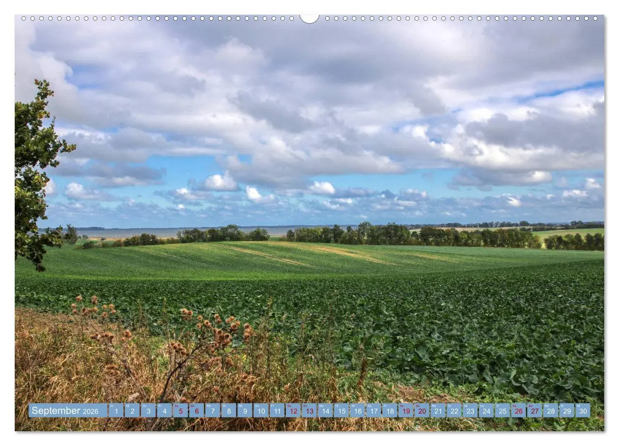 Bild: 9783457751350 | Stralsund und die Boddenlandschaft (hochwertiger Premium...