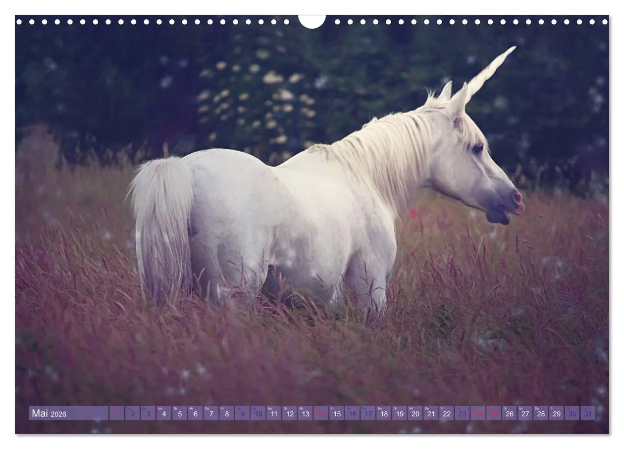 Bild: 9783457821350 | Einhorn Love - Fantasiewelt (Wandkalender 2026 DIN A3 quer),...