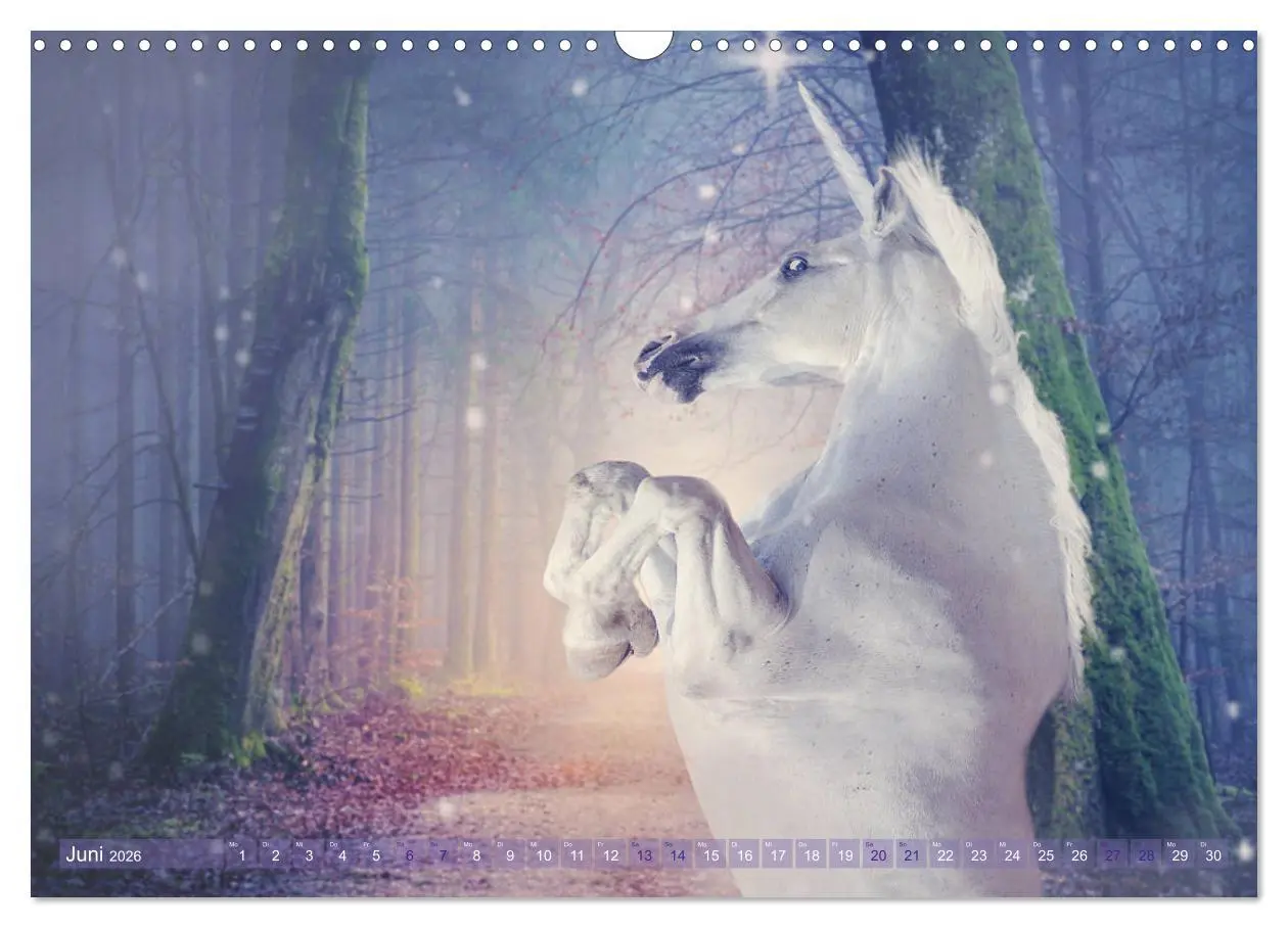 Bild: 9783457821350 | Einhorn Love - Fantasiewelt (Wandkalender 2026 DIN A3 quer),...