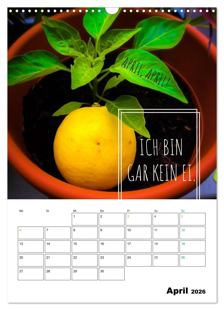 Bild: 9783516391350 | Mit Eiern durch's Jahr. (Wandkalender 2026 DIN A3 hoch), CALVENDO...