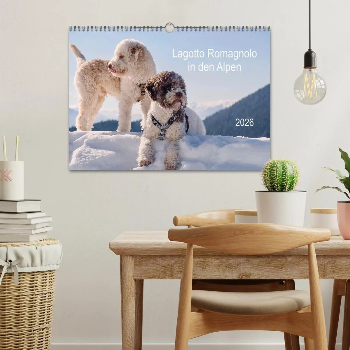 Bild: 9783457811450 | Lagotto Romagnolo in den Alpen 2026 (Wandkalender 2026 DIN A3...